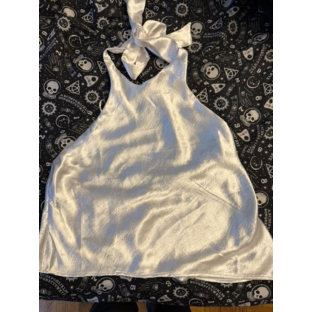 Silence + Noise Silver Satin Tie Neck Halter Top Open Back